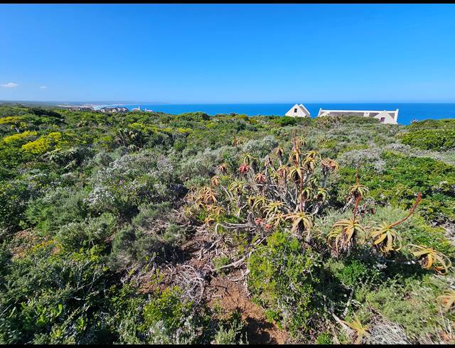 2,779M² VACANT LAND FOR SALE IN SPRINGERBAAI ECO ESTATE